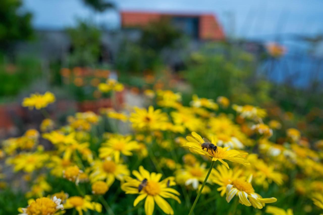 Casas Da Vereda Estreito Da Calheta Rum bild